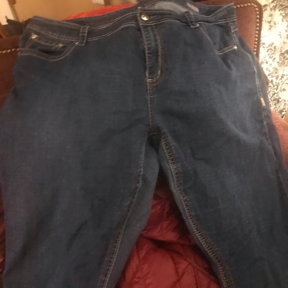 Melissa McCarthy 7 jeans from Lane Bryant
